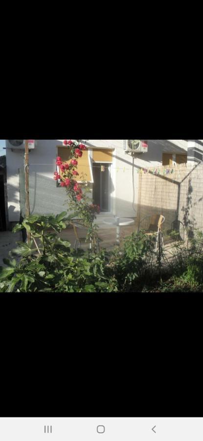 Basil Apartments And Rooms เบทินา ภายนอก รูปภาพ